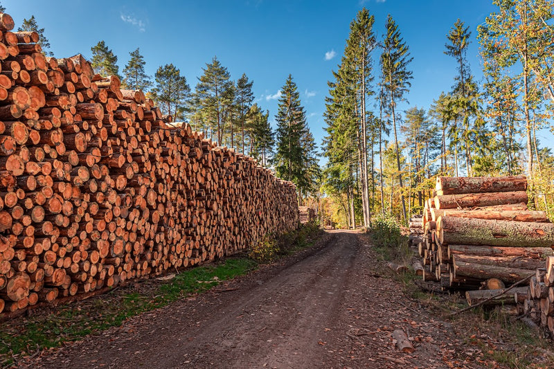 Forestry and Logging